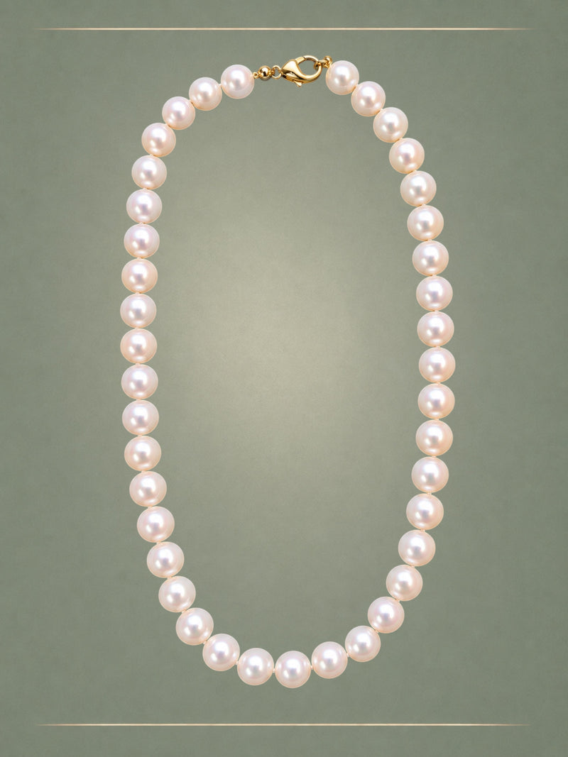 Men's Spice it Up Necklace