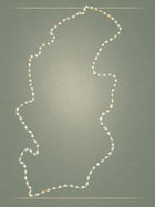 Raw Keshi Gold Y-Necklace