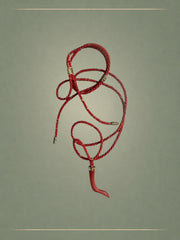 Coral Arc & Gold Pendant